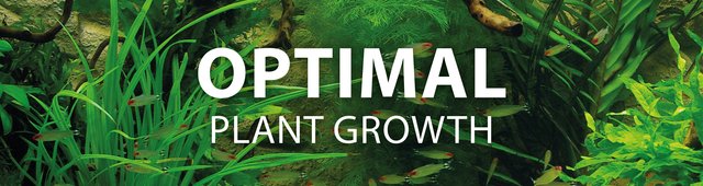 Optimal plant growth