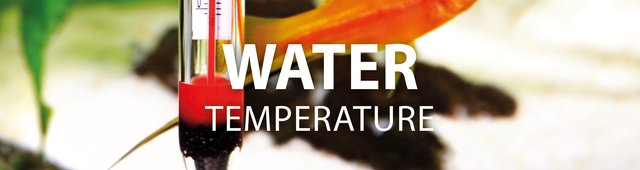 Water temperature