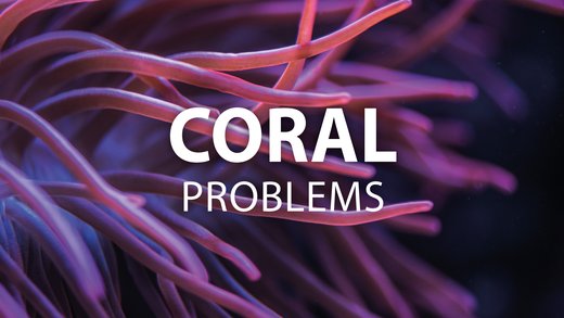 Coral problems