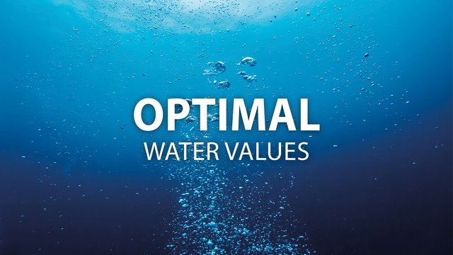 Optimal water values